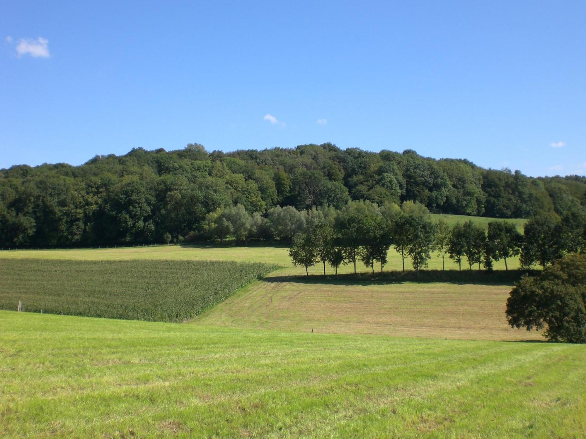 Stunning Holiday Home Near Forest In Slenaken Exteriör bild